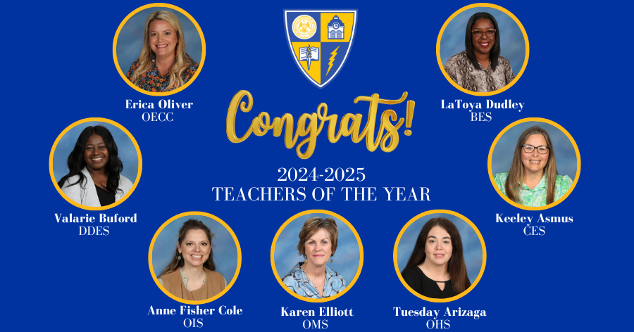 collage of the 2024 teachers of the year