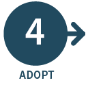 Phase 4: Adopt 